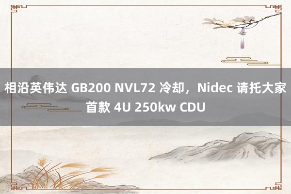 相沿英伟达 GB200 NVL72 冷却，Nidec 请托大家首款 4U 250kw CDU