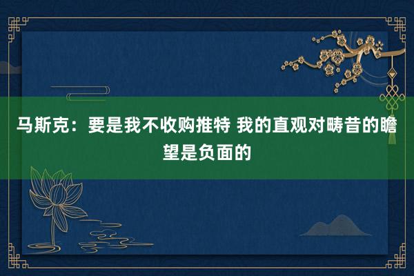 马斯克：要是我不收购推特 我的直观对畴昔的瞻望是负面的