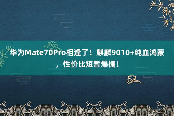 华为Mate70Pro相逢了！麒麟9010+纯血鸿蒙，性价比短暂爆棚！