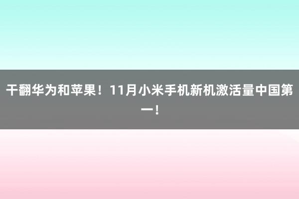 干翻华为和苹果！11月小米手机新机激活量中国第一！