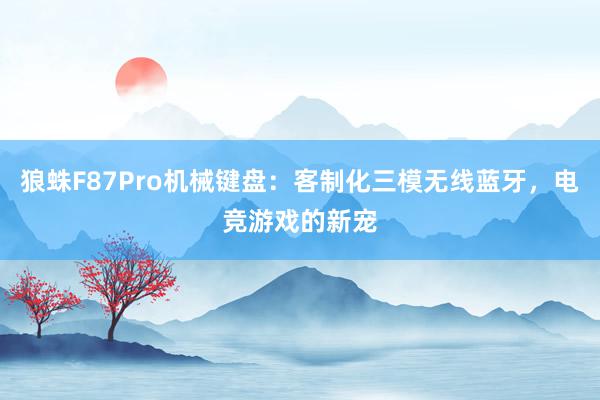 狼蛛F87Pro机械键盘：客制化三模无线蓝牙，电竞游戏的新宠