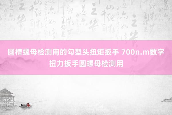 圆槽螺母检测用的勾型头扭矩扳手 700n.m数字扭力扳手圆螺母检测用