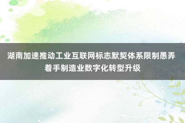 湖南加速推动工业互联网标志默契体系限制愚弄 着手制造业数字化转型升级