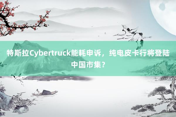 特斯拉Cybertruck能耗申诉，纯电皮卡行将登陆中国市集？