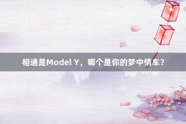 相通是Model Y，哪个是你的梦中情车？