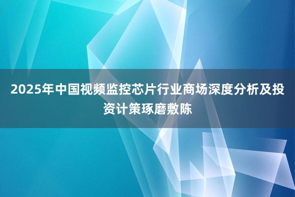 2025年中国视频监控芯片行业商场深度分析及投资计策琢磨敷陈