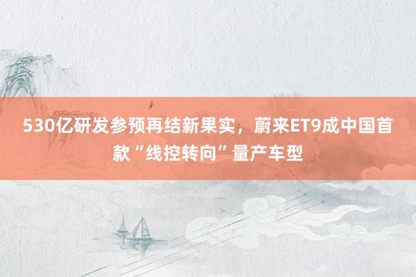 530亿研发参预再结新果实，蔚来ET9成中国首款“线控转向”量产车型