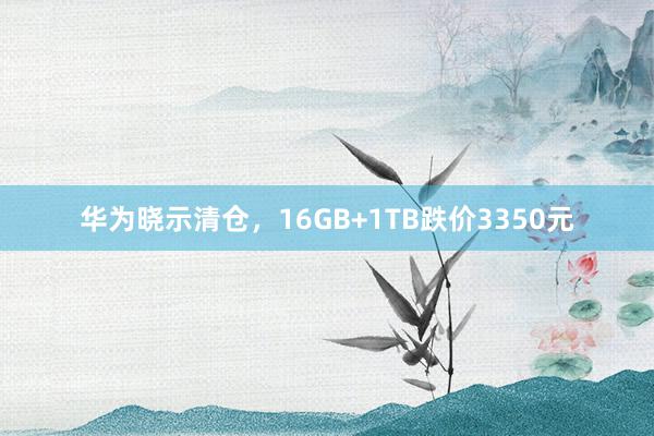 华为晓示清仓，16GB+1TB跌价3350元