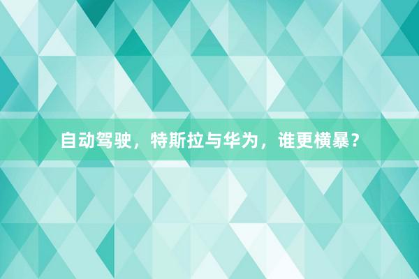 自动驾驶，特斯拉与华为，谁更横暴？