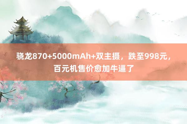 骁龙870+5000mAh+双主摄，跌至998元，百元机售价愈加牛逼了