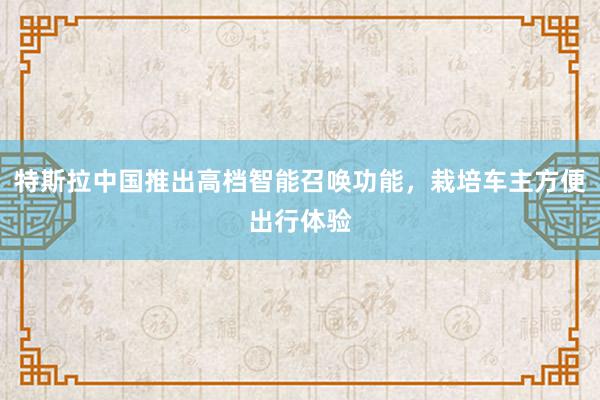 特斯拉中国推出高档智能召唤功能，栽培车主方便出行体验