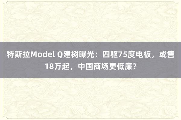 特斯拉Model Q建树曝光：四驱75度电板，或售18万起，中国商场更低廉？