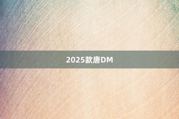 2025款唐DM