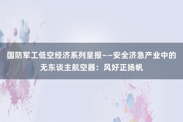 国防军工低空经济系列呈报——安全济急产业中的无东谈主航空器：风好正扬帆