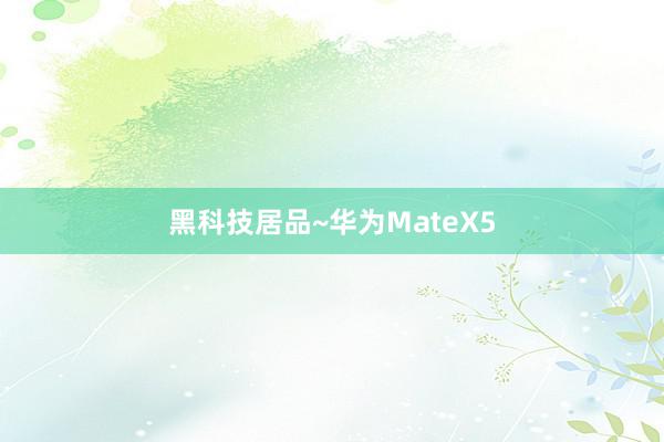 黑科技居品~华为MateX5