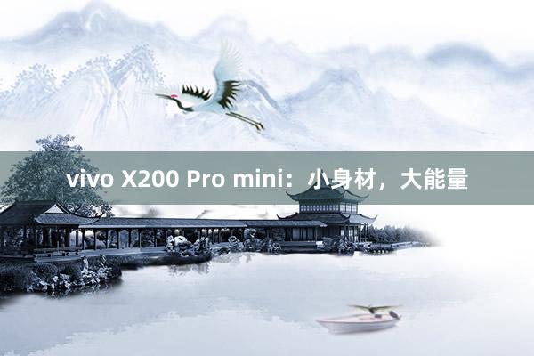 vivo X200 Pro mini：小身材，大能量