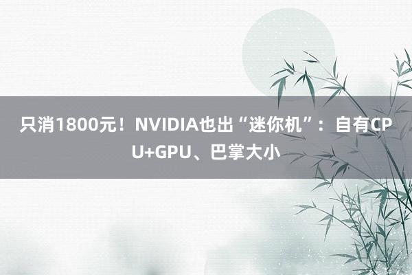 只消1800元！NVIDIA也出“迷你机”：自有CPU+GPU、巴掌大小