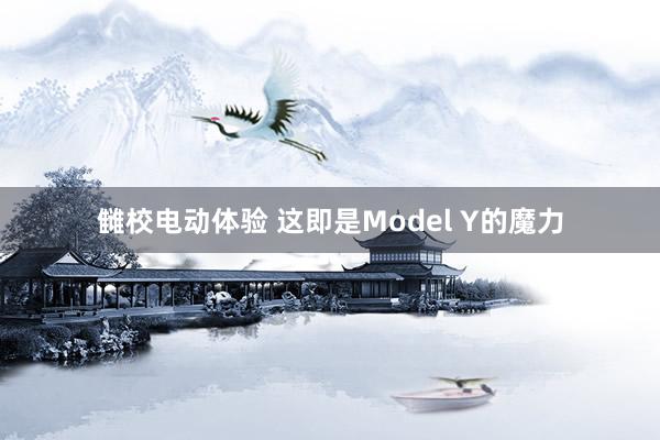 雠校电动体验 这即是Model Y的魔力