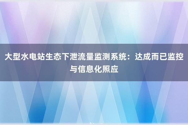 大型水电站生态下泄流量监测系统：达成而已监控与信息化照应