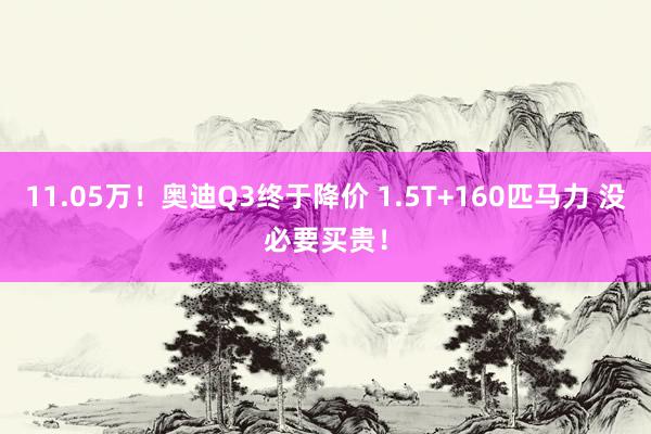 11.05万！奥迪Q3终于降价 1.5T+160匹马力 没必要买贵！