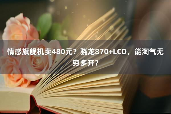 情感旗舰机卖480元？骁龙870+LCD，能淘气无穷多开？