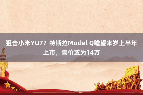 狙击小米YU7？特斯拉Model Q瞻望来岁上半年上市，售价或为14万