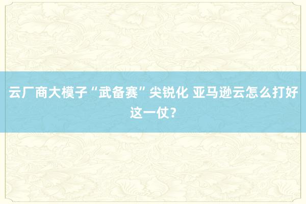 云厂商大模子“武备赛”尖锐化 亚马逊云怎么打好这一仗？