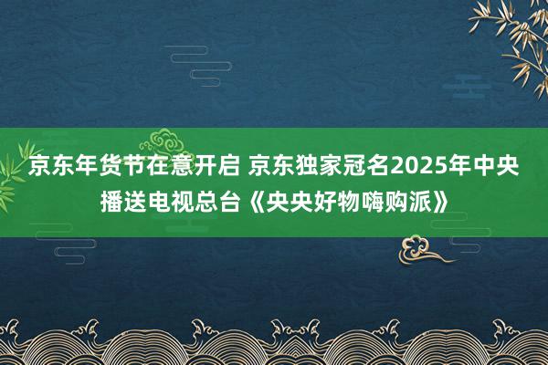 京东年货节在意开启 京东独家冠名2025年中央播送电视总台《央央好物嗨购派》