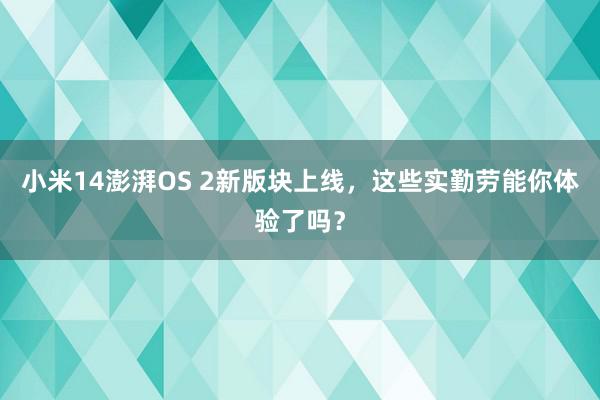 小米14澎湃OS 2新版块上线，这些实勤劳能你体验了吗？