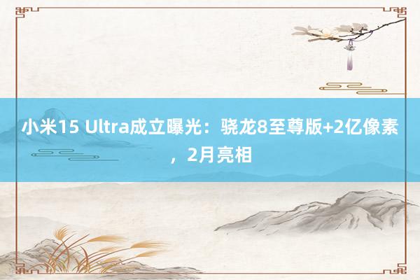 小米15 Ultra成立曝光：骁龙8至尊版+2亿像素，2月亮相