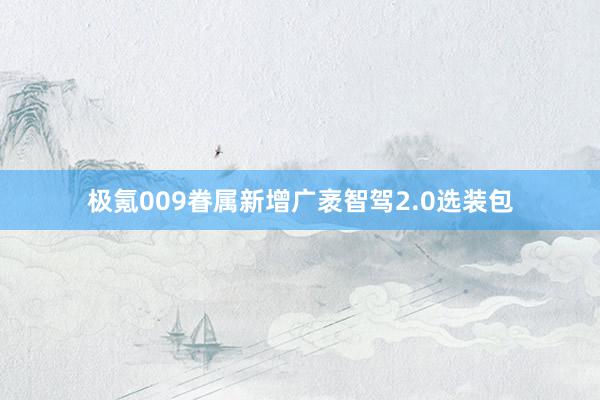 极氪009眷属新增广袤智驾2.0选装包