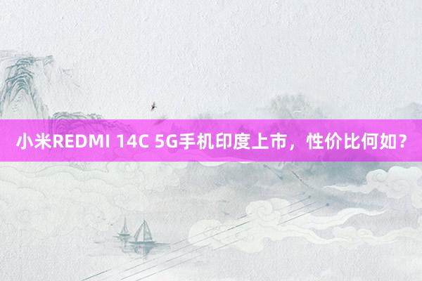 小米REDMI 14C 5G手机印度上市，性价比何如？