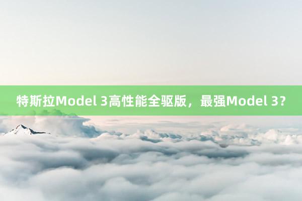 特斯拉Model 3高性能全驱版，最强Model 3？