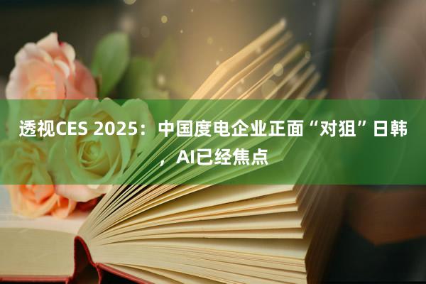 透视CES 2025：中国度电企业正面“对狙”日韩，AI已经焦点