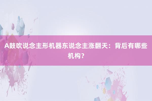 A鼓吹说念主形机器东说念主涨翻天：背后有哪些机构？