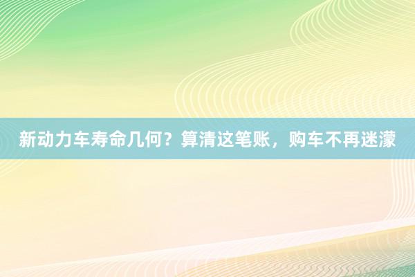 新动力车寿命几何？算清这笔账，购车不再迷濛