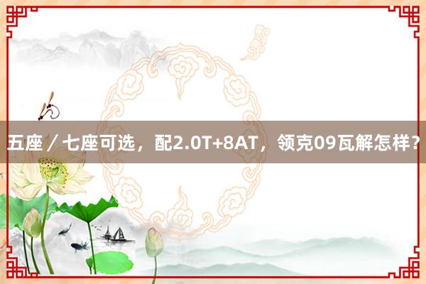 五座／七座可选，配2.0T+8AT，领克09瓦解怎样？