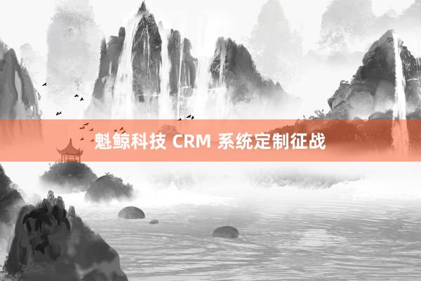 魁鲸科技 CRM 系统定制征战