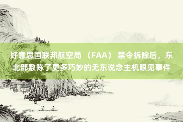 好意思国联邦航空局 （FAA） 禁令拆除后，东北部敷陈了更多巧妙的无东说念主机眼见事件