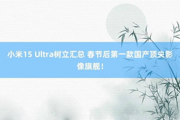 小米15 Ultra树立汇总 春节后第一款国产顶尖影像旗舰！