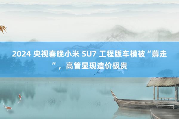 2024 央视春晚小米 SU7 工程版车模被“薅走”，高管显现造价极贵