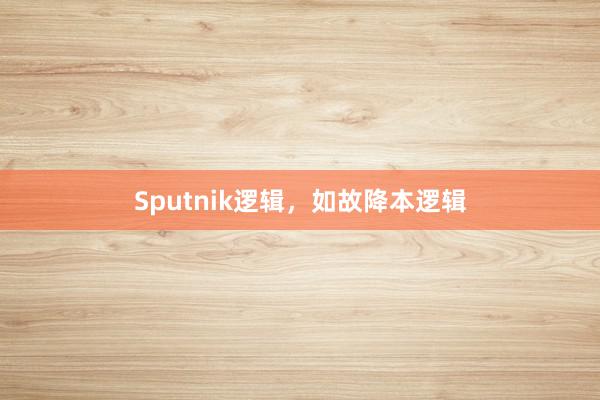 Sputnik逻辑，如故降本逻辑