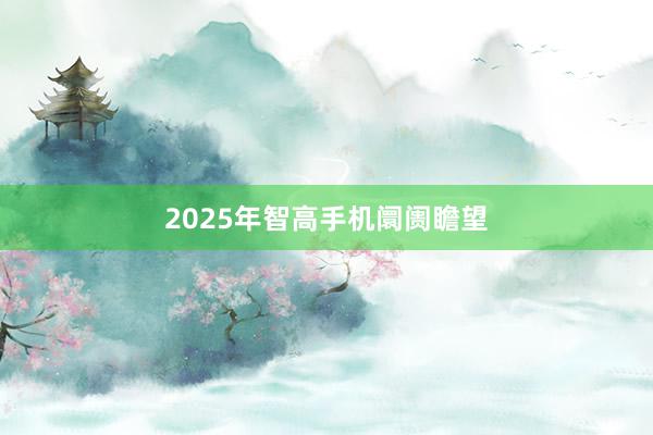 2025年智高手机阛阓瞻望