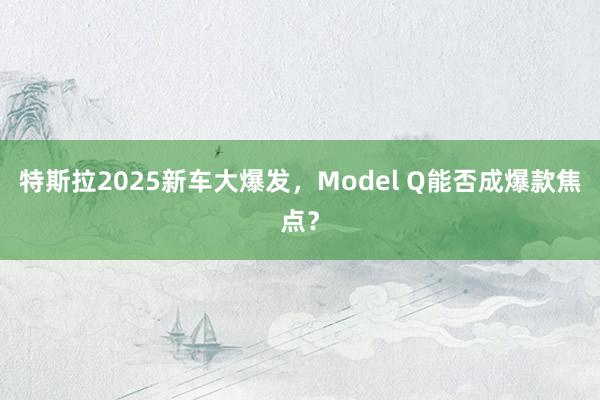 特斯拉2025新车大爆发，Model Q能否成爆款焦点？