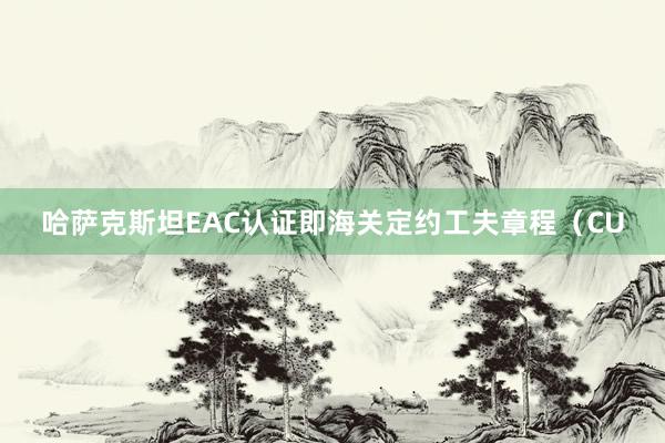 哈萨克斯坦EAC认证即海关定约工夫章程（CU