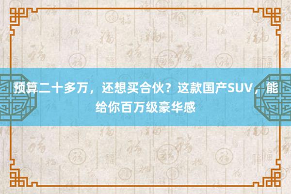 预算二十多万，还想买合伙？这款国产SUV，能给你百万级豪华感