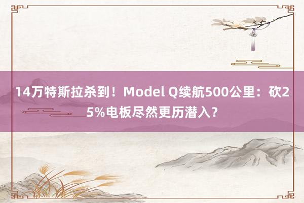 14万特斯拉杀到！Model Q续航500公里：砍25%电板尽然更历潜入？