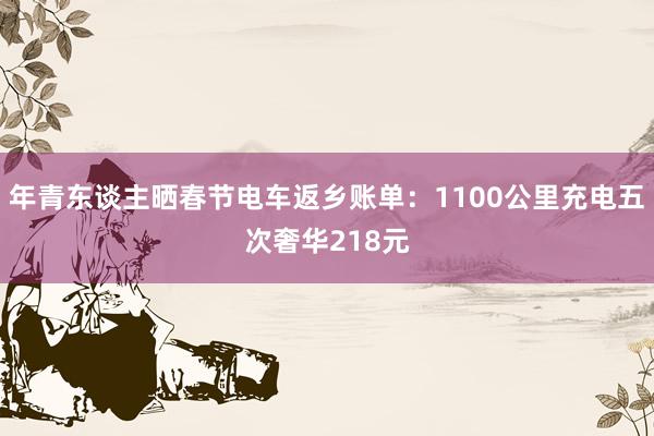 年青东谈主晒春节电车返乡账单：1100公里充电五次奢华218元