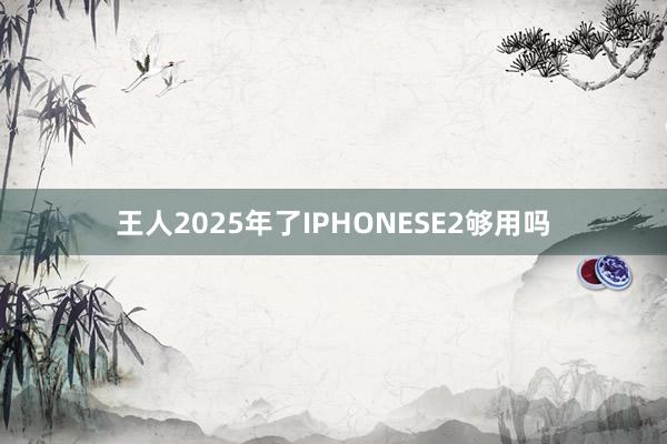 王人2025年了IPHONESE2够用吗