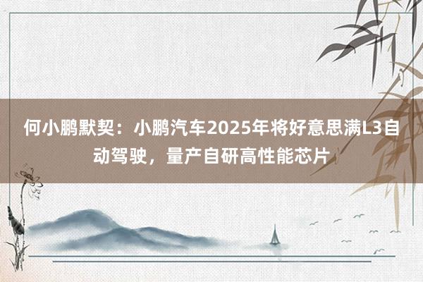 何小鹏默契：小鹏汽车2025年将好意思满L3自动驾驶，量产自研高性能芯片